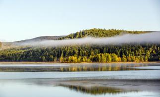 全国出发呼伦贝尔8日自驾：额尔古纳-室韦-莫尔道嘎-边境卡线-阿尔山8日落地租车自驾-推荐