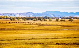 山东出发自驾河北张家口草原天路3日：自驾红井天路-草原天路-四十里峡穿越3日游-推荐
