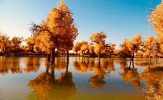 乌鲁木齐集结金秋南疆10日自驾：塔里木胡杨林-网红盘龙古道-喀什古城-帕米尔高原-沙漠公路-塔莎古道-推荐