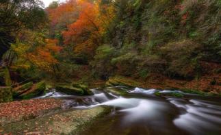 成都出发汉中2.5日自驾：黎坪红叶-汉中兴汉胜境-天汉传奇演出2.5日自驾-推荐