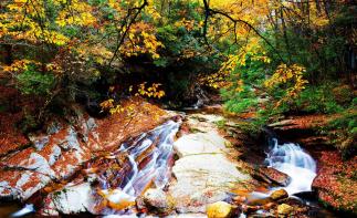 成都周边2.5日休闲自驾游：醉美金秋-光雾山桃园-十八月谭2.5日自驾之旅-推荐