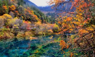 成都出发川西7日落地自驾：九寨沟-黄龙-达古冰川-羊绒哈德-毕棚沟-古尔沟7日自驾游-推荐