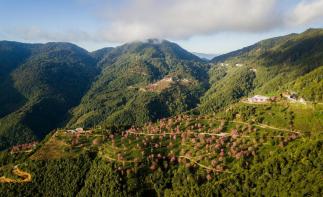 昆明集合云南8日落地自驾：无量樱花-腾冲银杏-诺邓古村-南涧土林8日自驾-推荐