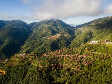 昆明集合云南8日落地自驾：无量樱花-腾冲银杏-诺邓古村-南涧土林8日自驾