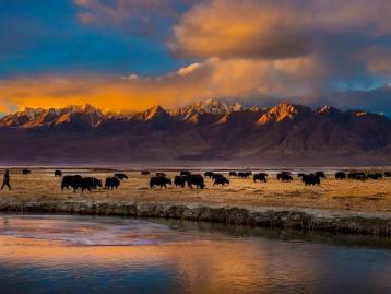 喀什起止南疆环线：喀什+泽普金胡杨+帕米尔+塔莎古道+N39基地+塔什库尔干6日拼包车游