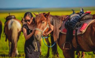 海拉尔集合7日自驾游：【丛草原到边境】呼伦贝尔深度自驾-私人马场体验-根河湿地-满洲里7日游-推荐