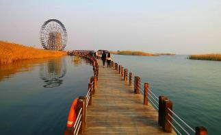 山东出发自驾江苏5日游：水上七彩衫林·-溧阳1号彩虹公路-太湖东西山岛-锡惠古镇-苏北沿海湿地休闲5-推荐