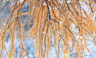 成都出发理县2日自驾：毕棚沟-甘堡藏寨-古尔沟温泉2日自驾-推荐