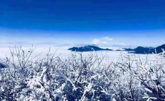 成都出发雅安3日自驾：轿顶山看云海-草科温泉-巴旺海徒步洗肺3日自驾-推荐