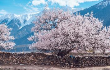 成都出发林芝桃花17日自驾：丁真家乡-金川梨花-墨石公园-来古冰川-雅鲁藏布江-布宫大昭寺-羊湖-纳-游推荐