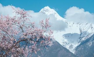 成都出发看林芝桃花14日自驾：桃花沟-泸定桥-然乌湖-羊湖-布宫-大昭寺-纳木错-塔尔寺-西宁14日-推荐
