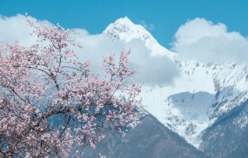 成都出发看林芝桃花14日自驾：桃花沟-泸定桥-然乌湖-羊湖-布宫-大昭寺-纳木错-塔尔寺-西宁14日-游推荐