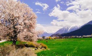 成都出发川进青出15日自驾游：川藏线G318-拉萨-羊湖-纳木措-青藏线15日自驾-推荐