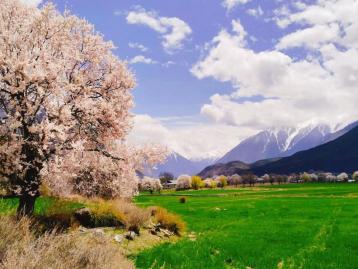 成都出发川进青出15日自驾游：川藏线G318-拉萨-羊湖-纳木措-青藏线15日自驾