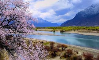 成都集合西藏桃花节14日自驾游：【桃花缘记】川藏线318-来古冰川-林芝-拉萨-青藏线14日-推荐