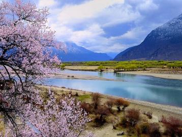 成都集合西藏桃花节14日自驾游：【桃花缘记】川藏线318-来古冰川-林芝-拉萨-青藏线14日