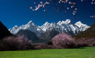 成都出发西藏拉萨10日自驾游：川藏线-林芝桃花节-拉萨10日自驾游-推荐