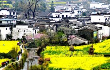 山东出发自驾江西婺源赏花5日游：婺源-天柱山-三河古镇-寿县古城婺源深度游-游推荐