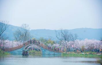 山东出发江苏赏花4日游：太湖鼋头渚の樱花-拈花湾禅意小镇-兴化跺田花海4日游-游推荐