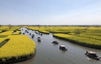 北京出发江苏5日自驾游：李中水上森林公园-千垛景区-扬州-台儿庄5日自驾游-游推荐