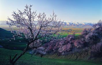 【伊犁花香】乌鲁木齐起止6日落地自驾：独山子大峡谷-赛里木湖-大西沟-喀赞其民俗园-吐尔根杏花沟-那-游推荐
