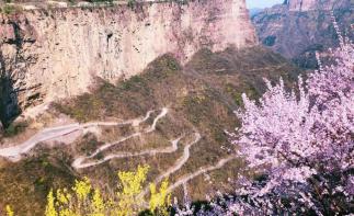 辉县集合南太行挂壁公路-封丘油菜花海-开封4日3晚自驾游，畅游太行之巅、黄河之滨-推荐