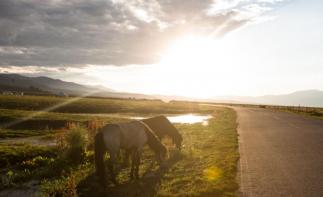 成都出发川西小环线3日自驾：甲居藏寨-墨石公园-新都桥3日自驾-推荐