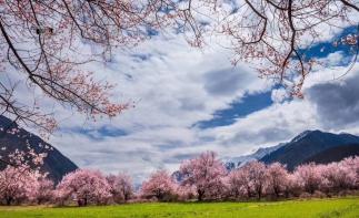 4-10月川藏进青藏出13日西藏自驾游：新都桥-世界高城理塘-勒通古镇-林芝-拉萨-羊湖-纳木措-翡-推荐