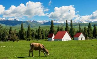 【缘起伊犁】七日落地自驾：独山子大峡谷-赛里木湖-伊宁-那拉提-莲海世界-葡萄沟七日自驾游-推荐