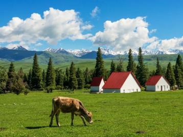 【缘起伊犁】七日落地自驾：独山子大峡谷-赛里木湖-伊宁-那拉提-莲海世界-葡萄沟七日自驾游
