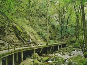 宁夏银川出发4日自驾：牛背梁、柞水溶洞、陈炉古镇、终南山寨、袁家村4日自驾游