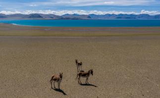 拉萨出发11日行摄自驾：喜马拉雅以南｜越野｜洛扎｜亚东｜岗巴｜珠峰｜吉隆沟｜拉萨集结11日落地自驾-推荐