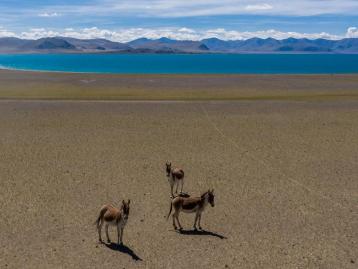 拉萨出发11日行摄自驾：喜马拉雅以南｜越野｜洛扎｜亚东｜岗巴｜珠峰｜吉隆沟｜拉萨集结11日落地自驾