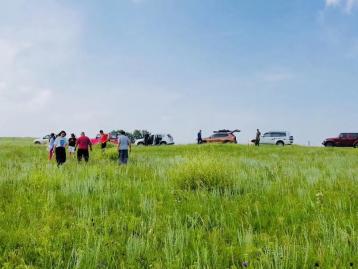 北京出发内蒙多伦3日自驾游：御道口-多伦秘境草原-沙河穿越-九曲十八弯-国家森林公园3日自驾游