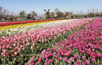 北京出发苏州山东7日自驾游：压油沟-苏州国际博览中心-高邮湖-荷兰花海7日自驾游-游推荐