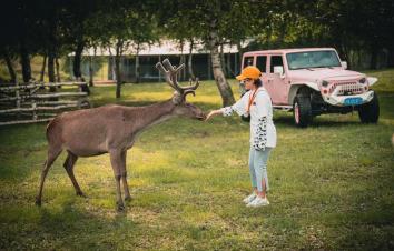 北京出发围场2日自驾游：一鹿有你-驻野奢营地-享芬兰草原-丛林穿越-释放荷尔蒙 2日露营自驾游-游推荐