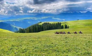 全国出发新疆25日自驾游：喀伊连线+天山天池+喀纳斯+禾木+赛里木湖+薰衣草+喀拉峻+巴音布鲁克+那-推荐