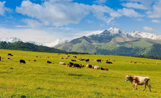 【世界级的东疆7日游】拒绝千篇一律，就要与众不同-推荐