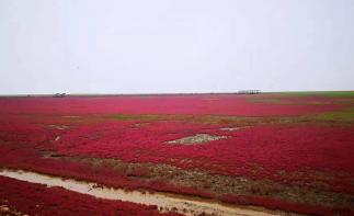 北京出发东北4日自驾游：兴城古城-红海滩国家风景廊道-大黑山国家森林公园4日自驾游-推荐