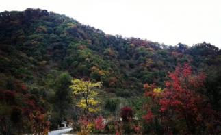 北京出发东北6日自驾游：关门山森林公园-本恒公路-虎山长城-全程五星酒店6日自驾游-推荐