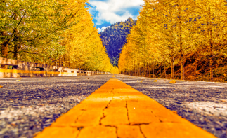 重庆出发甘南青海7日自驾游：【祁连之秋】甘南-青海祁连山冷龙岭秋色长廊7日自驾游-推荐