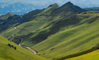 全国出发北疆11日落地自驾：喀纳斯-禾木-魔鬼城-赛里木湖-伊昭公路-那拉提草原-巴音布鲁克-独库公-推荐