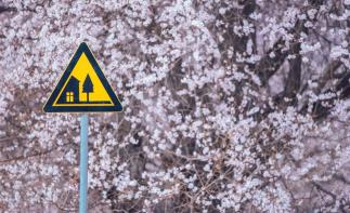 全国出发林芝桃花8日自驾：嘎拉村-巴松措-雅鲁藏布江大峡谷-嘎隆拉冰川-来古冰川-然乌湖-雅尼湿地8-推荐