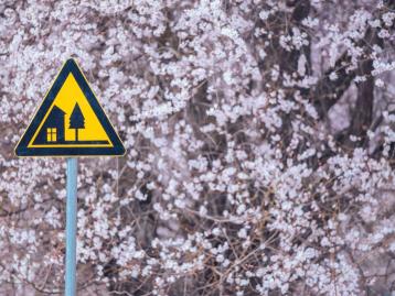 全国出发林芝桃花8日自驾：嘎拉村-巴松措-雅鲁藏布江大峡谷-嘎隆拉冰川-来古冰川-然乌湖-雅尼湿地8