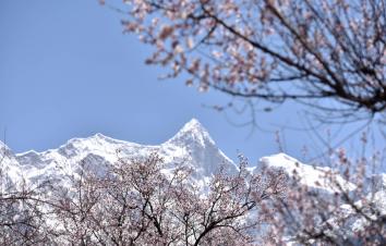 成都出发西藏桃花节——3-4月丹巴+墨石公园+理塘勒通古镇+然乌湖+来古冰川+岗云杉林+桃花沟+索松-游推荐