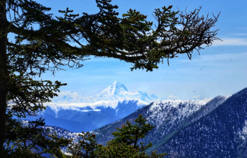 北京出发西藏19日自驾游：金川梨花-林芝桃花-墨脱-羊湖-川藏线G318-藏线G109-19日自驾-游推荐