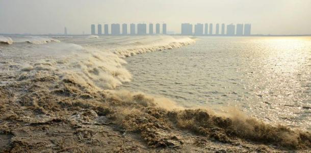 北京出发安徽浙江8日自驾下江南：观钱塘江大潮，畅游江南水乡8日自驾之旅自驾游