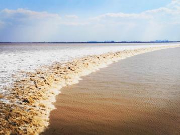 安徽出发浙江3日自驾游：观钱塘江大潮-游绍兴鲁迅故里-赏乌镇美景3日游