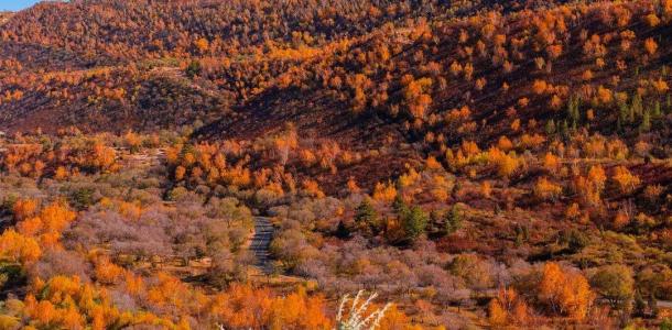 北京出发内蒙赤峰5日自驾游：猎艳西拉木伦金色世界，移步换景多彩风景大道5日自驾之旅-大自驾网