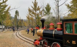 上海周边赏秋2日自驾游：安徽绩溪赏十里银杏长廊-邂逅皖浙天路的醉美秋色2日自驾游-推荐